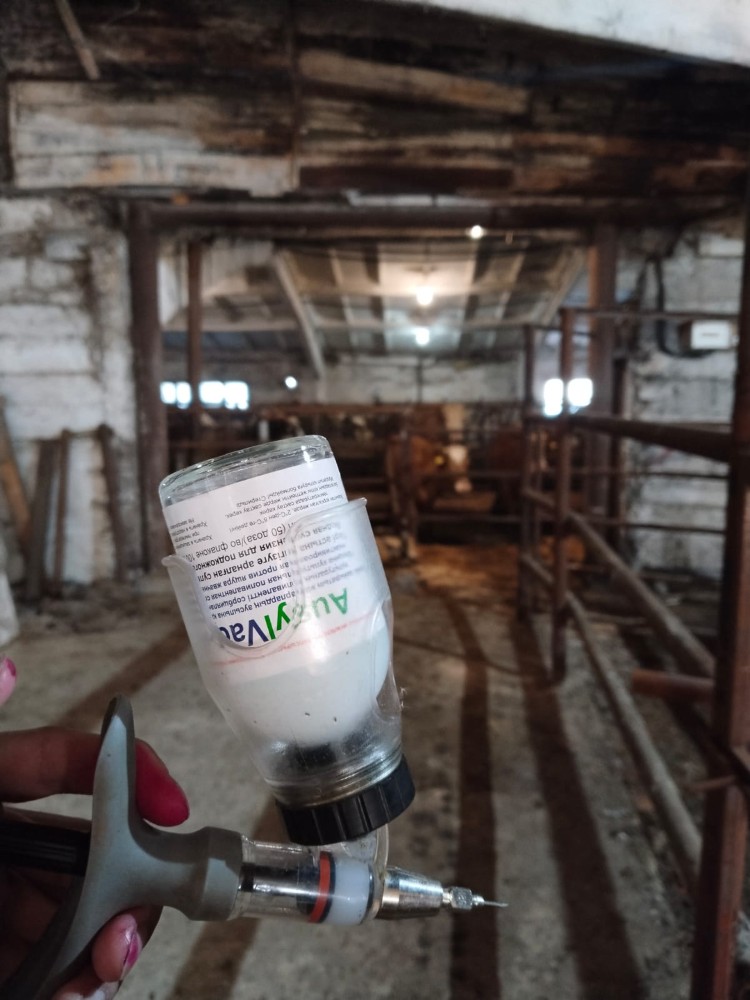 Ауыл шаруашылығы жануарларын профилактикалық вакцинациялау