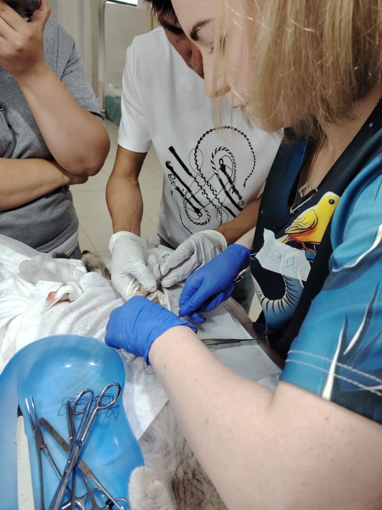 Ветеринарлық мамандар Исаков баспанасында тәжірибеден өтті