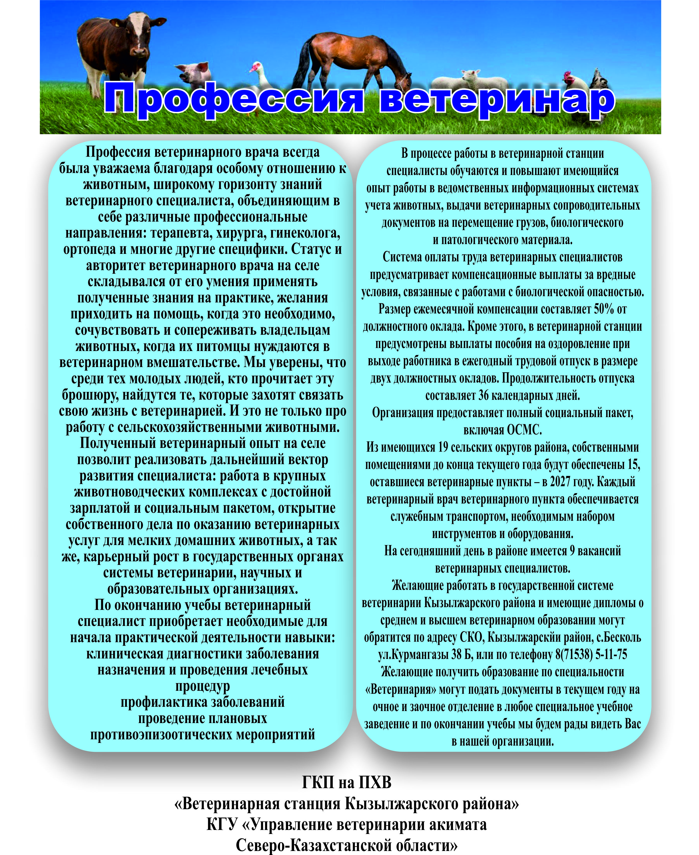 Мамандығы ветеринар