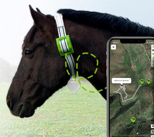 Жылқыларға арналған gps трекері
