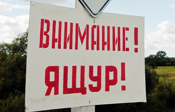 Жануарлардың аусылының алдын алу
