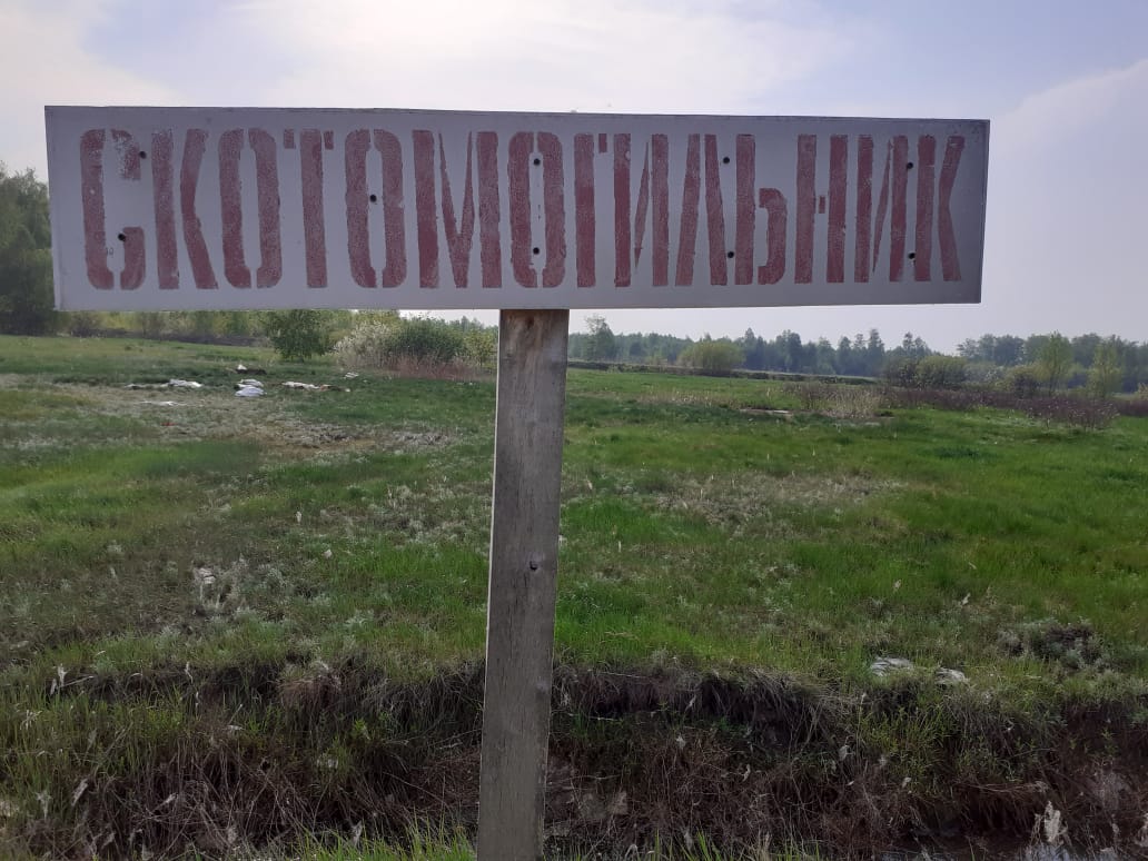 Биологиялық қалдықтарды кәдеге жарату, мал қорымдары