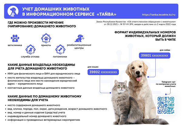 Определены сроки обязательного учета домашних животных
