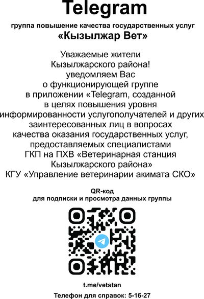 telegram группа повышения качества государственных услуг «Кызылжар вет»