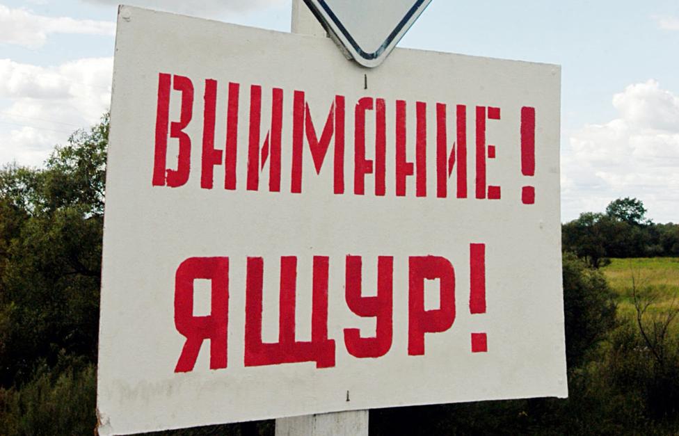 Жануарлардың аусылының алдын алу
