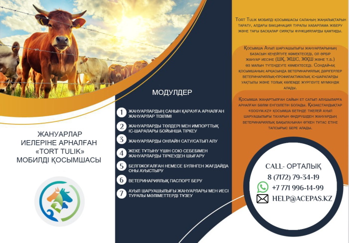 Мобильді қосымша «TortTulik»